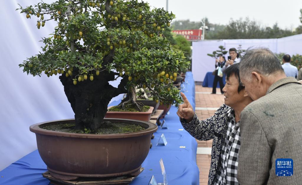 棋牌游戏官网
